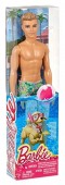 Barbie Ken la plaja DGT83 Water Play