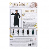 Harry Potter FYM50 papusa cu accesorii