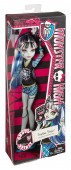 Monster High Ghoul Spirit Frankie Stein BDF08