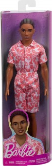 Barbie Ken Fashionistas Brown Hair HYT99 