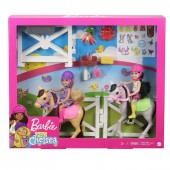 Barbie Chelsea scoala de calarie set 2 papusi si 2 ponei GNC62