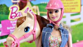 Barbie cu cal magnific CMP27