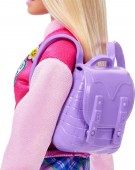 Barbie la scoala HRG84