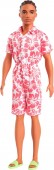 Barbie Ken Fashionistas Brown Hair HYT99 