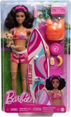 Barbie papusa surfer cu accesorii HPL69 