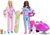 Barbie sporturi de iarna set cu doua papusi HGM75
