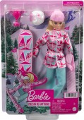 Barbie Winter Sports Snowboarder HCN32