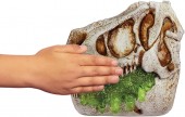 GrossMos Dinozaurul Zburator Gross a Saurus  521563