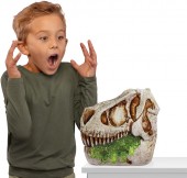 GrossMos Dinozaurul Zburator Gross a Saurus  521563