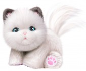 Little Live Pets jucarie de plus interactiva pisicuta Cuddles