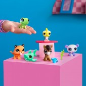 Littlest Pet Shop- Suprise Blind Series 1 BF00500